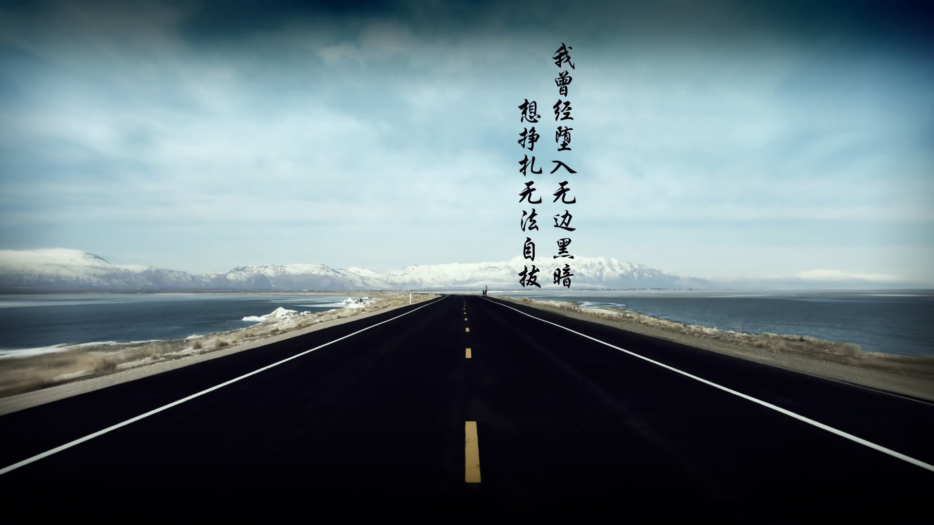 “荒漠之王：金色沙丘上的生死追逐”，沙漠金色是什么颜色