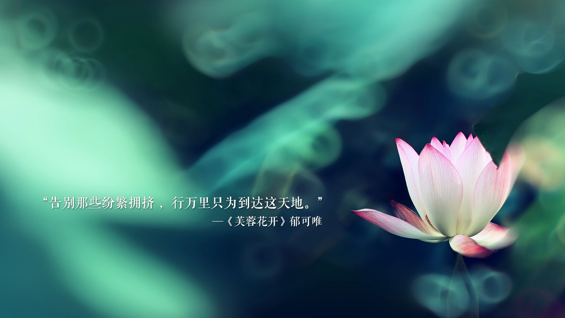 全球观众狂欢：WRC直播全场声势浩大，wrc the official game
