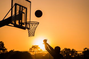 b体育(sports)官方网站-中国篮球职业俱乐部青训人才选拔与培养机制，中国国家篮球青训选拔